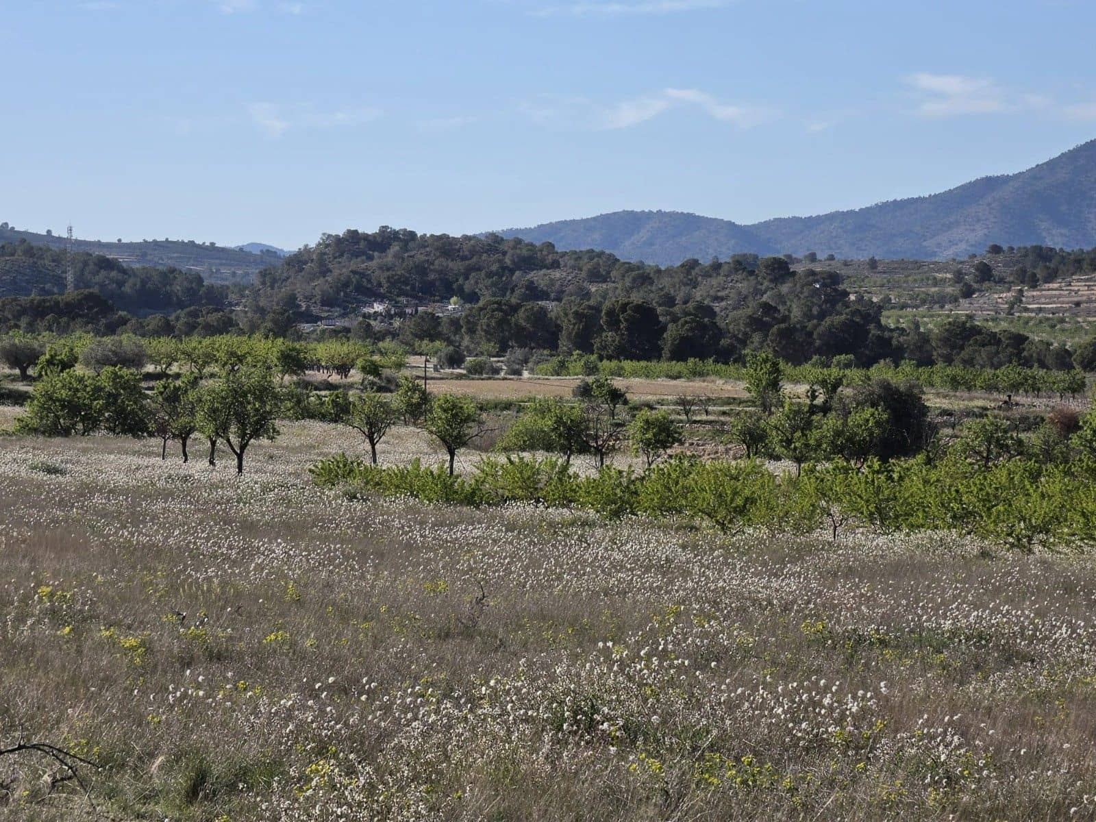 Undeveloped Land for sale in Monovar / Monover - € 44,995 (Ref: 9773366)