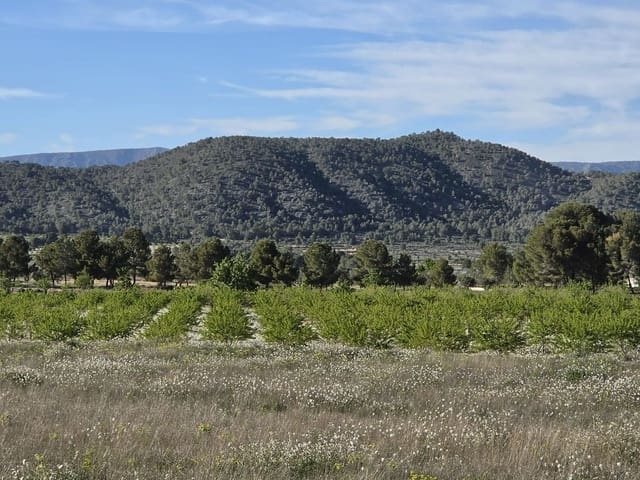 Terre non Aménagée à vendre à Monóvar / Monóver - 44 995 € (Ref: 9773366)