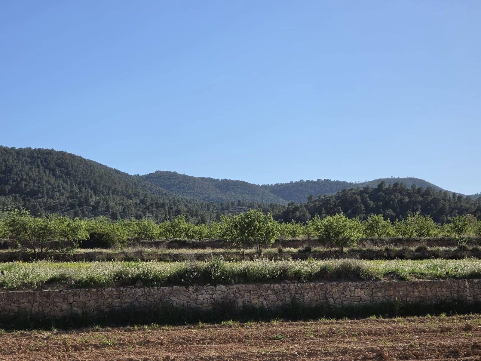 Undeveloped Land for sale in Monovar / Monover - € 44,995 (Ref: 9773366)