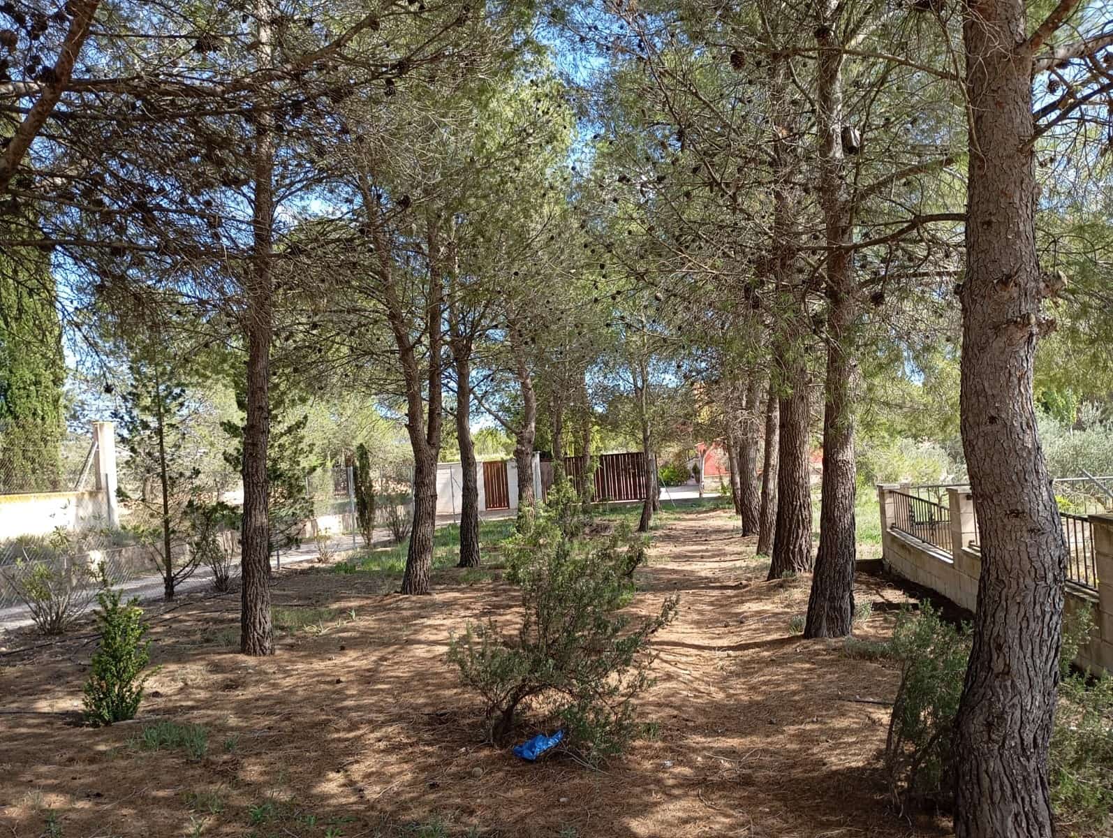 5 soveværelse Villa til salg i Yecla med swimmingpool garage - € 299.900 (Ref: 9782510)