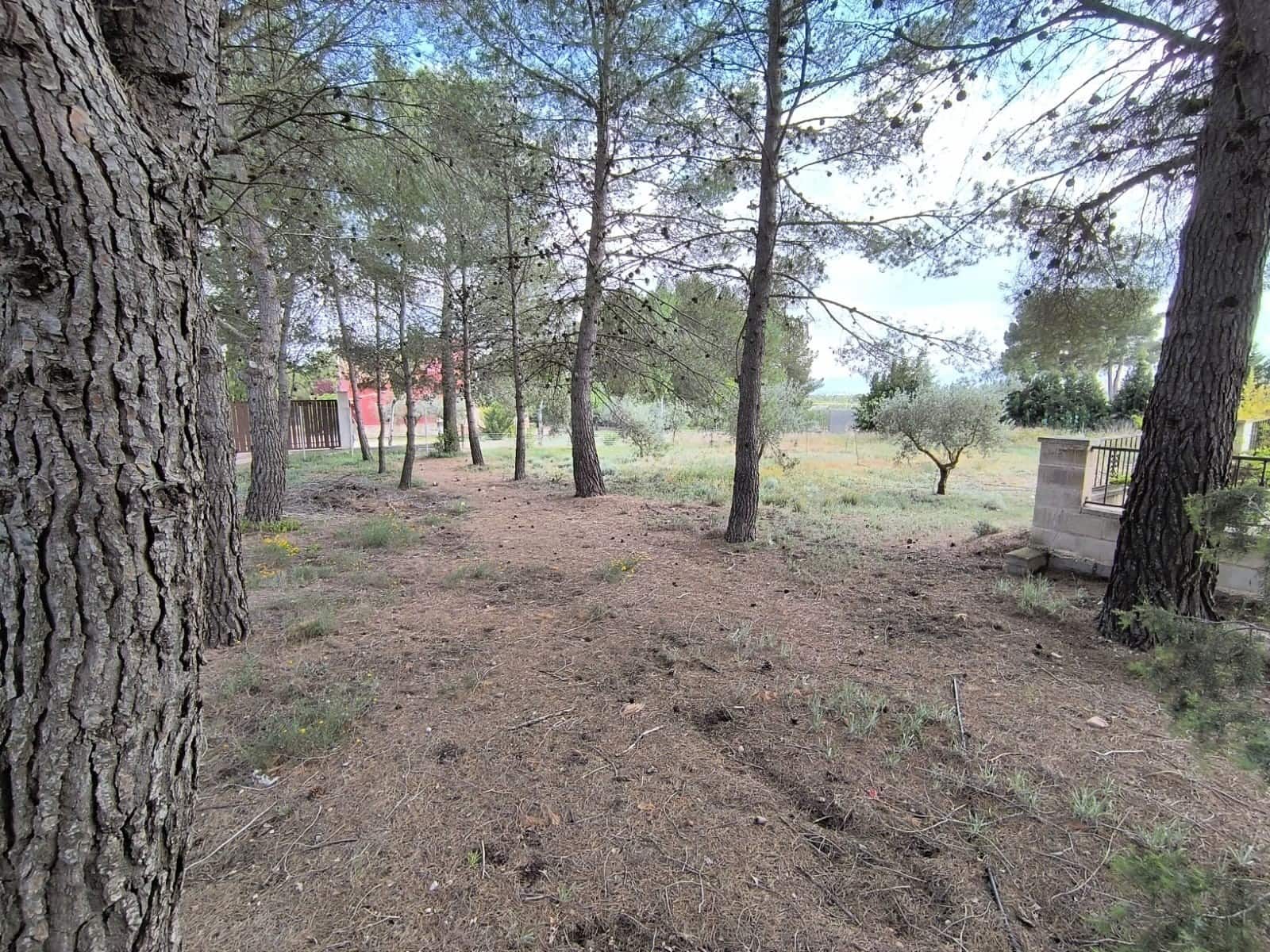 Chalet de 5 habitaciones en Yecla en venta con piscina garaje - 296.900 € (Ref: 9782510)
