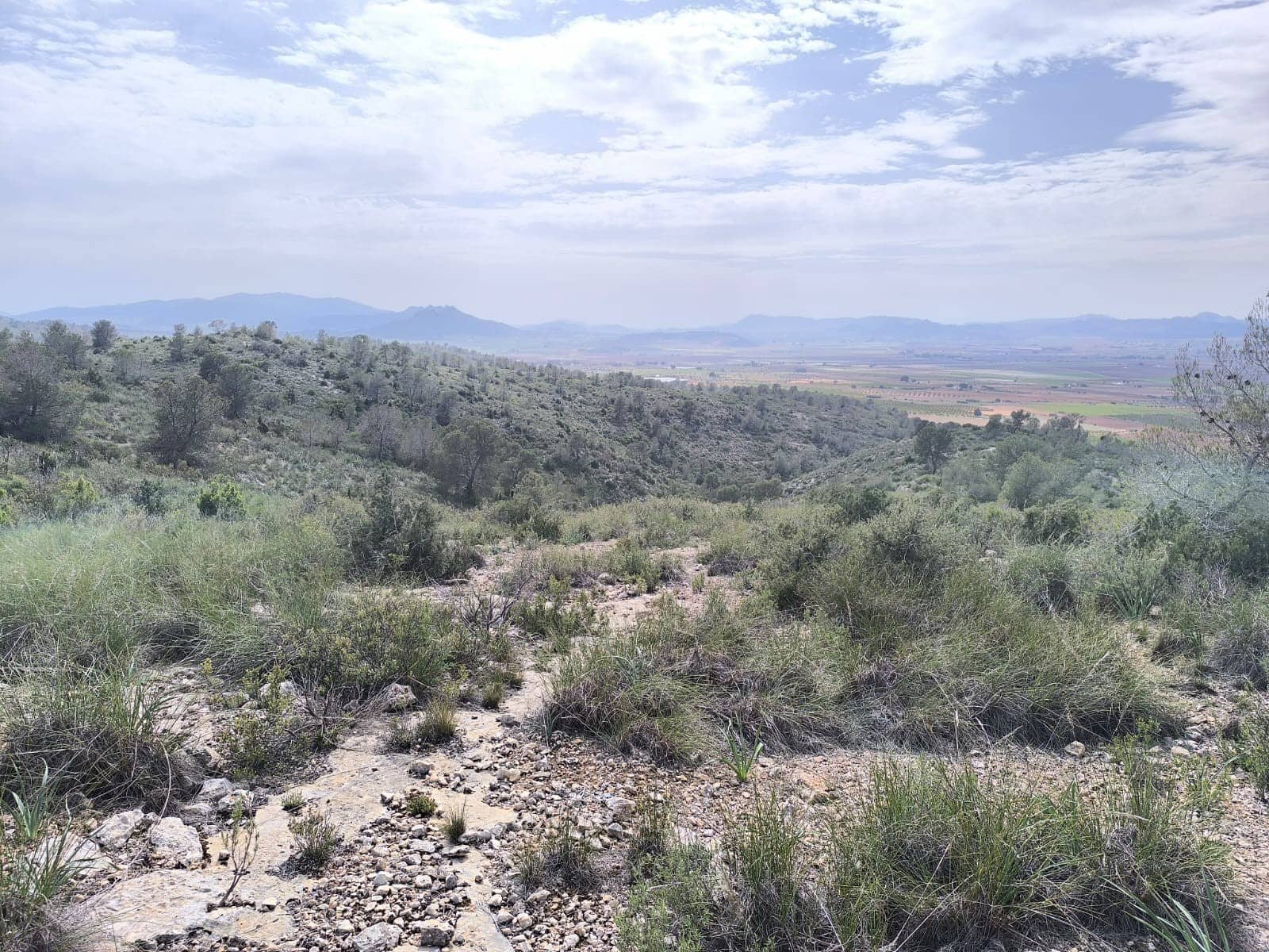 Grond te koop in Yecla - € 240.000 (Ref: 9782893)