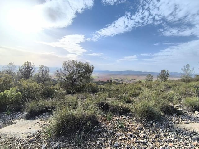 Grond te koop in Yecla - € 240.000 (Ref: 9782893)