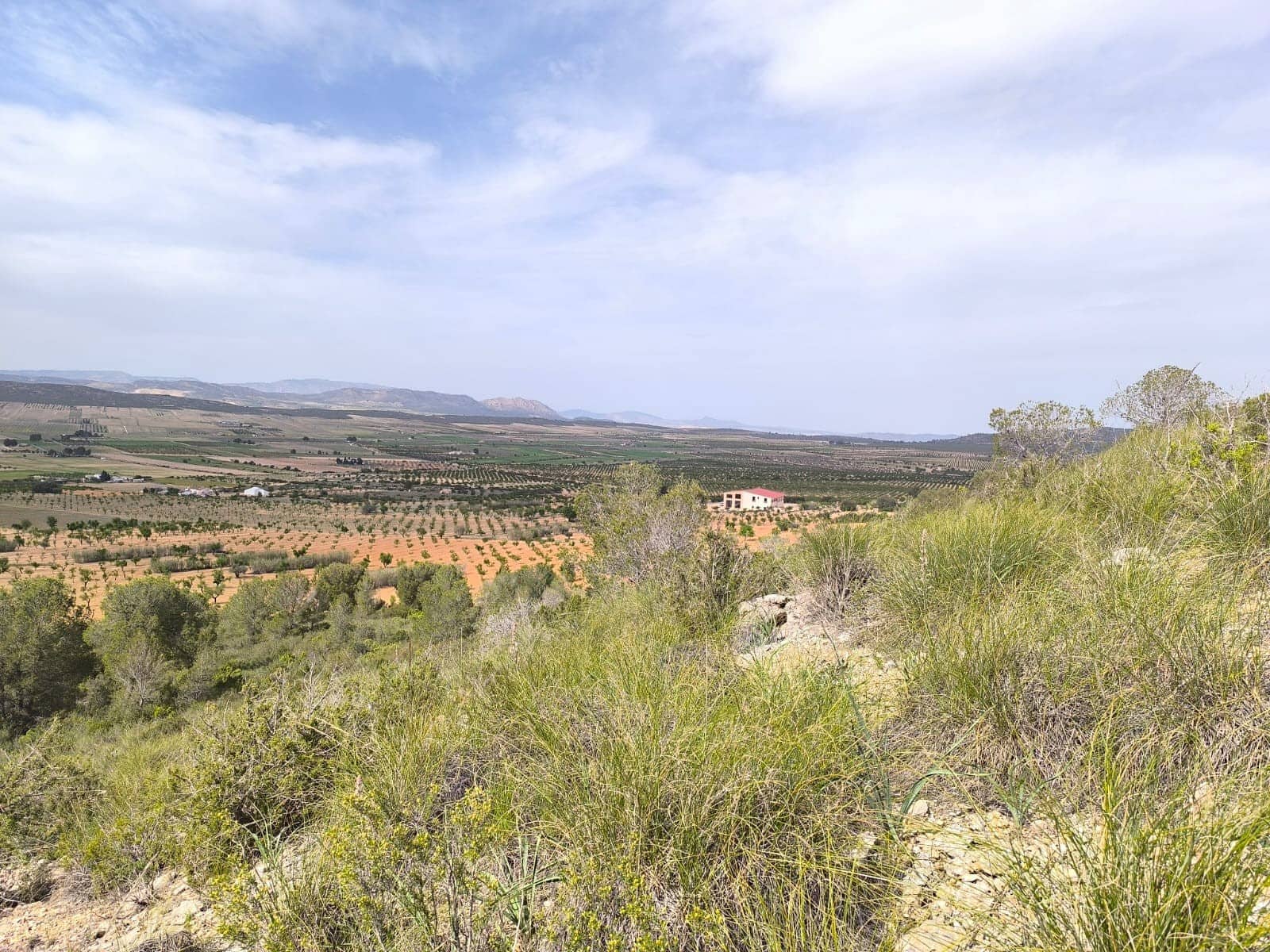 Mark till salu i Yecla - 240 000 € (Ref: 9782893)
