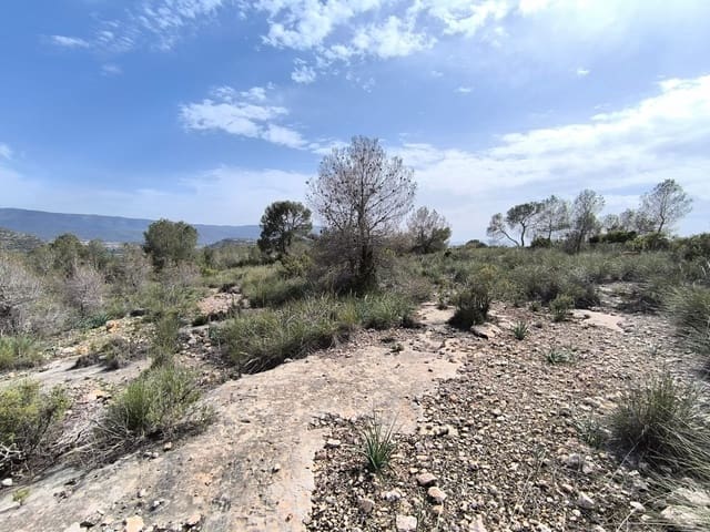 Terre non Aménagée à vendre à Yecla - 240 000 € (Ref: 9782893)
