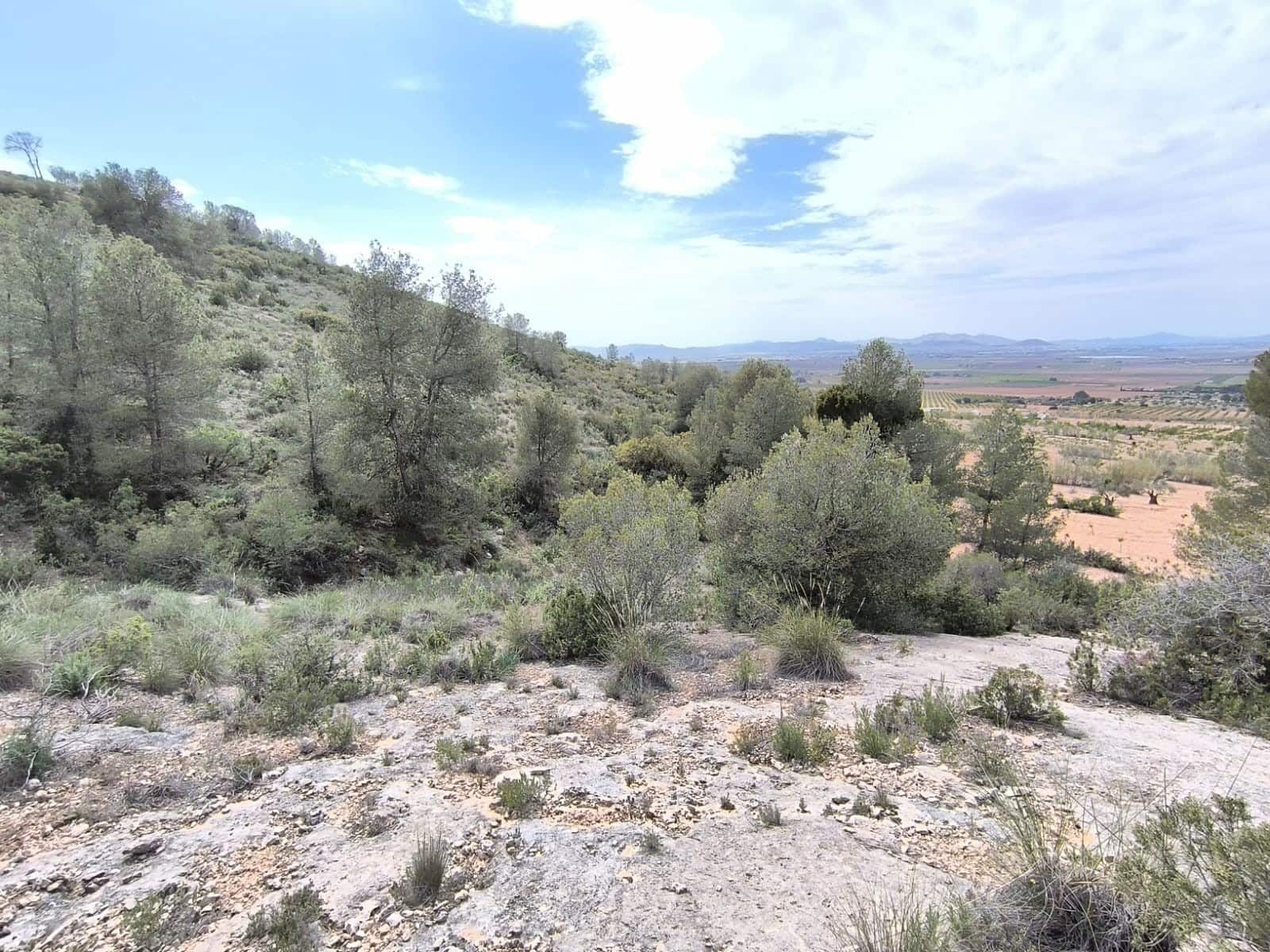 Mark till salu i Yecla - 240 000 € (Ref: 9782893)
