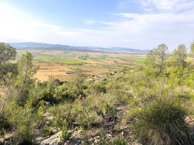 Terre non Aménagée à vendre à Yecla - 240 000 € (Ref: 9782893)