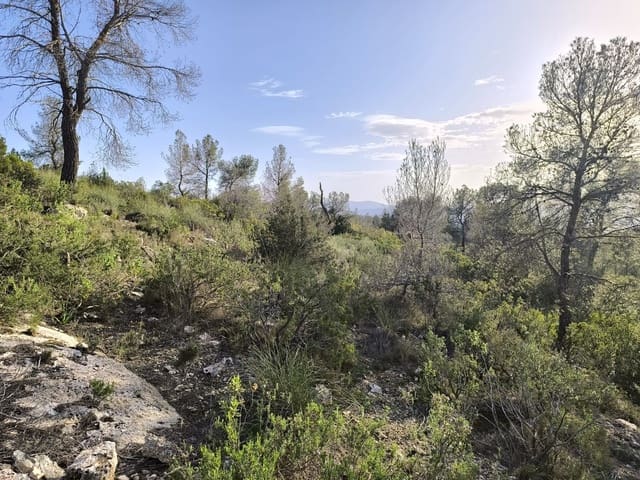 Terre non Aménagée à vendre à Yecla - 240 000 € (Ref: 9782893)