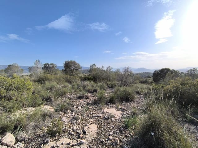Terre non Aménagée à vendre à Yecla - 240 000 € (Ref: 9782893)