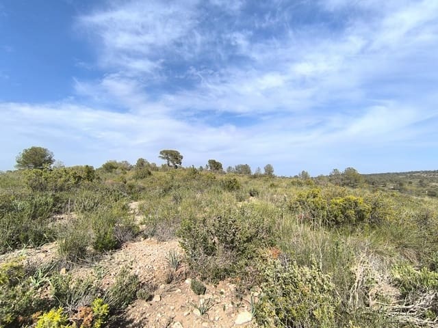 Terre non Aménagée à vendre à Yecla - 240 000 € (Ref: 9782893)