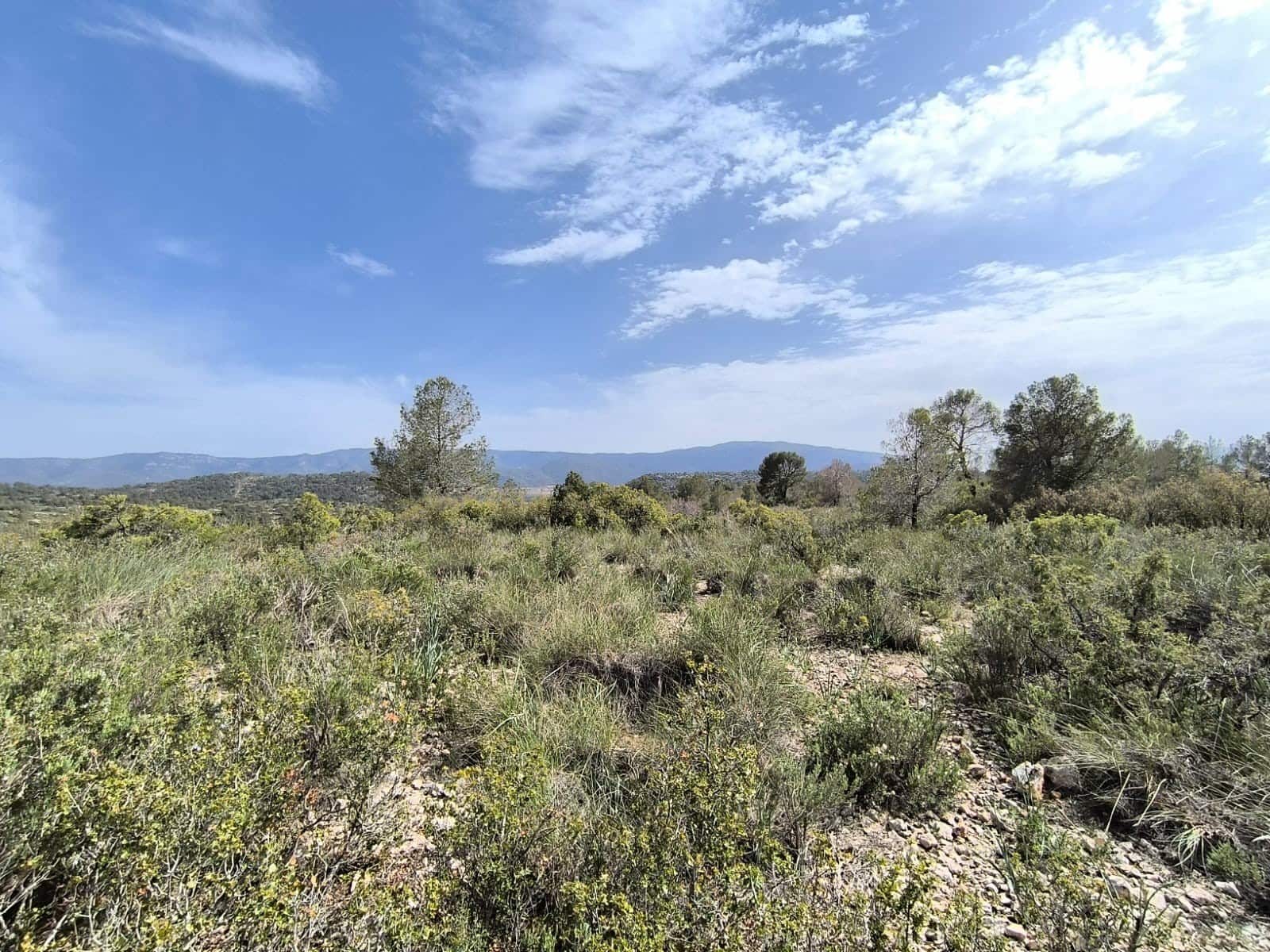 Mark till salu i Yecla - 240 000 € (Ref: 9782893)