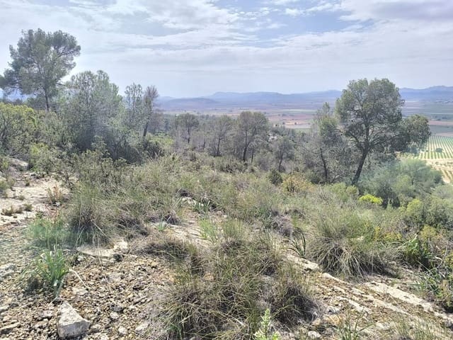 Terre non Aménagée à vendre à Yecla - 240 000 € (Ref: 9782893)