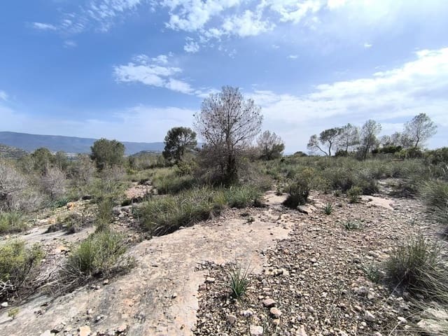 Terre non Aménagée à vendre à Yecla - 240 000 € (Ref: 9782893)