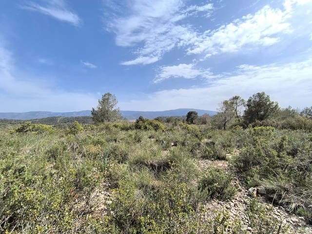 Terre non Aménagée à vendre à Yecla - 240 000 € (Ref: 9782893)