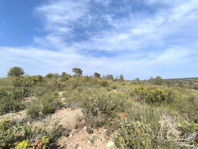 Terre non Aménagée à vendre à Yecla - 240 000 € (Ref: 9782893)