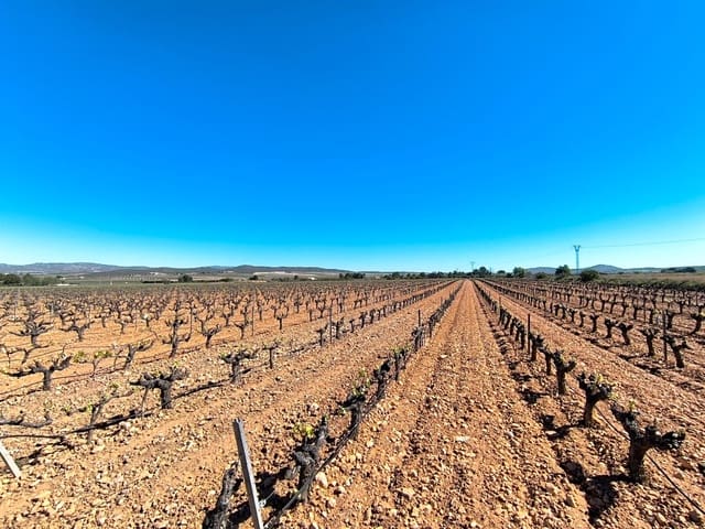 Landgrundstück zu verkaufen in Yecla - 57.500 € (Ref: 9793756)