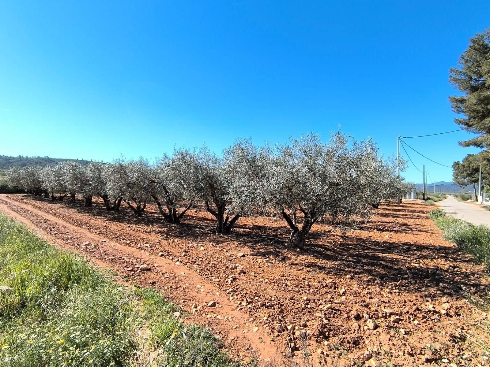 4 bedroom Finca/Country House for sale in Yecla with garage - € 280,000 (Ref: 9798510)