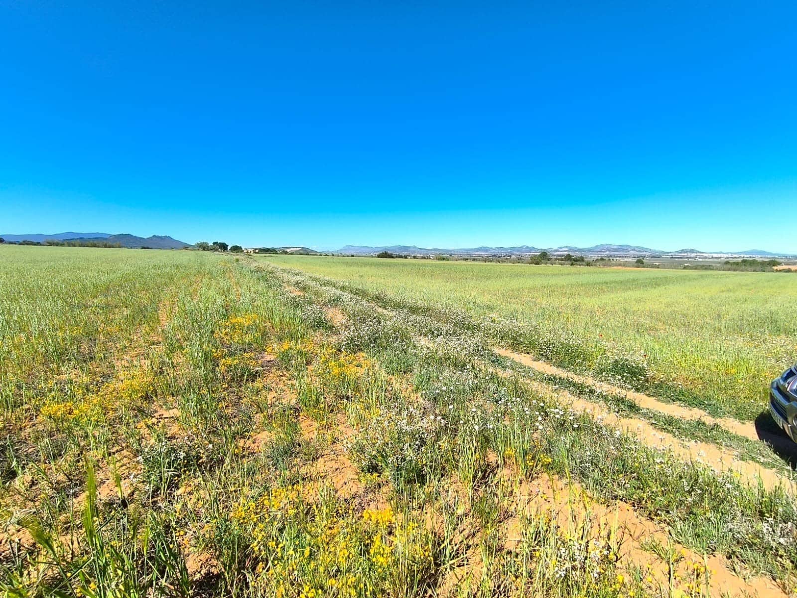 Landgrundstück zu verkaufen in Yecla - 70.000 € (Ref: 9800032)