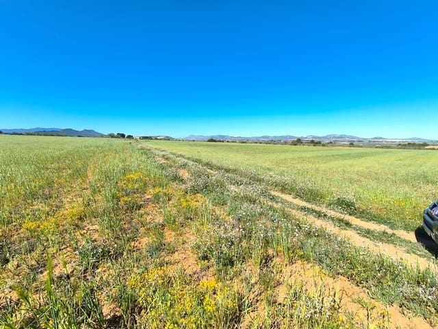 Rakentamaton maa myytävänä paikassa Yecla - 70 000 € (Ref: 9800032)