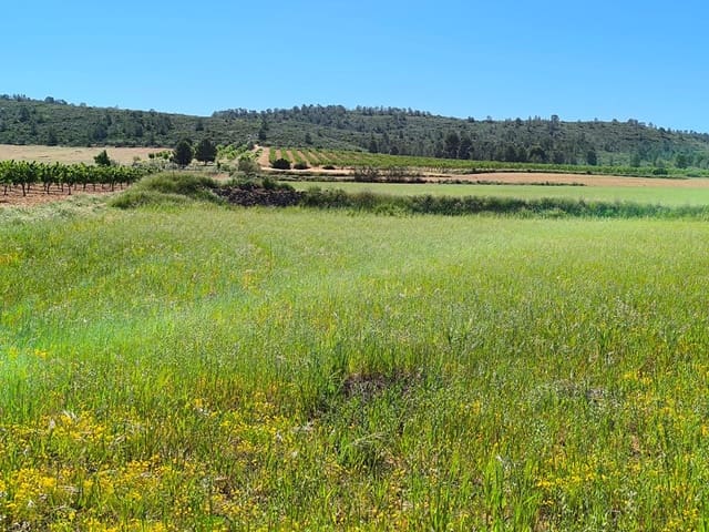 Rakentamaton maa myytävänä paikassa Yecla - 70 000 € (Ref: 9800032)