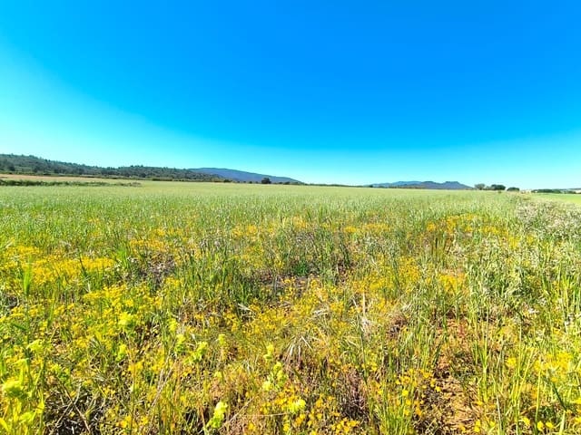 Terre non Aménagée à vendre à Yecla - 70 000 € (Ref: 9800032)