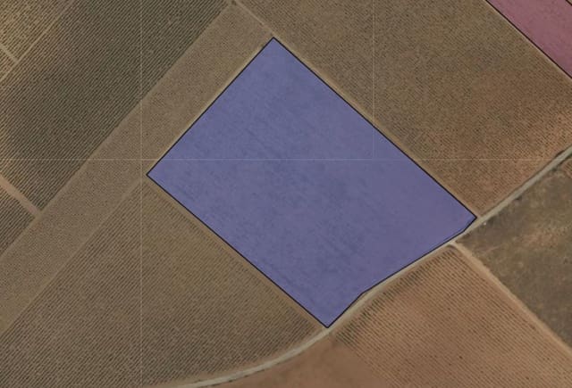 Landgrundstück zu verkaufen in Yecla - 67.500 € (Ref: 9800033)