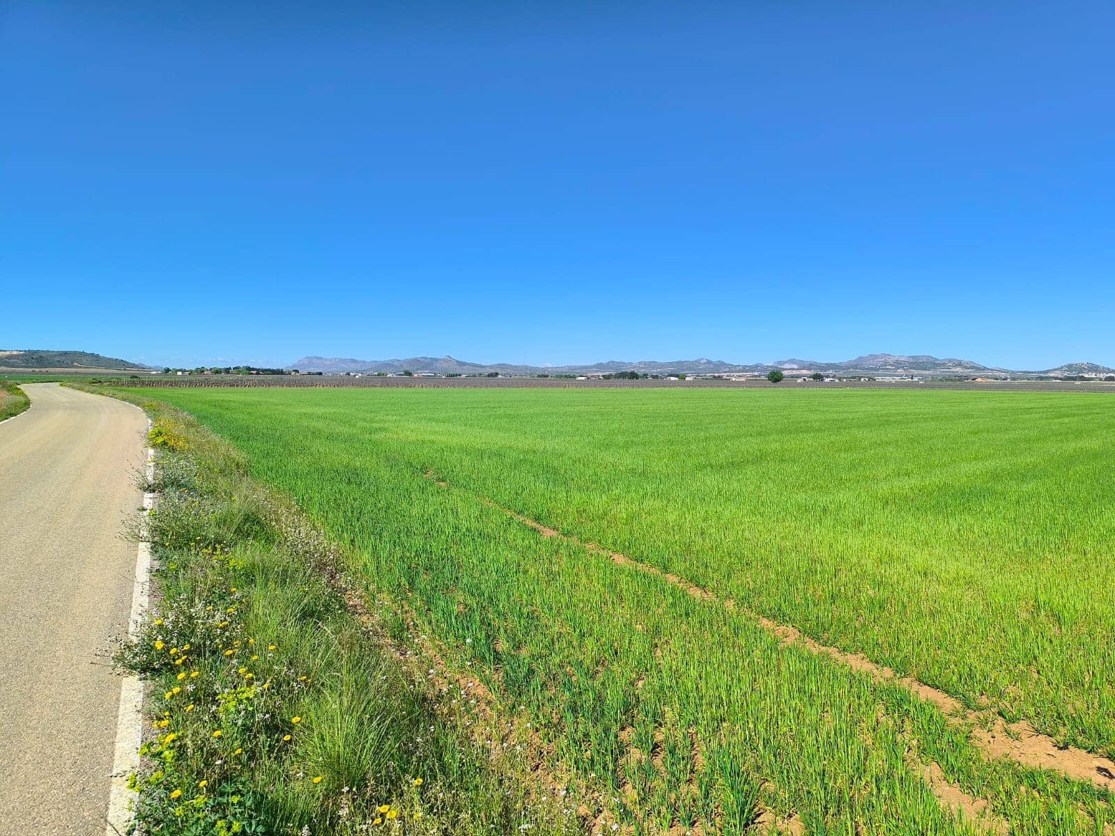 Landgrundstück zu verkaufen in Yecla - 67.500 € (Ref: 9800033)