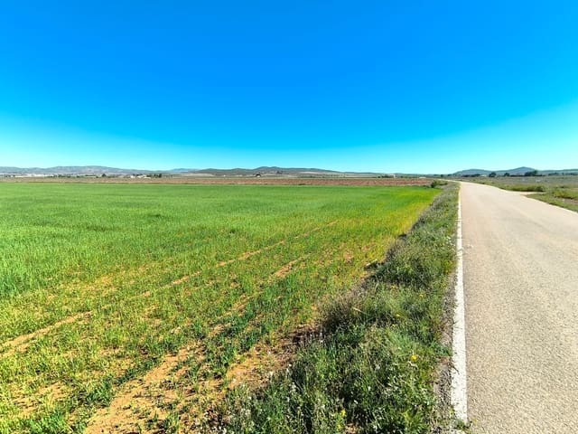 Landgrundstück zu verkaufen in Yecla - 67.500 € (Ref: 9800033)