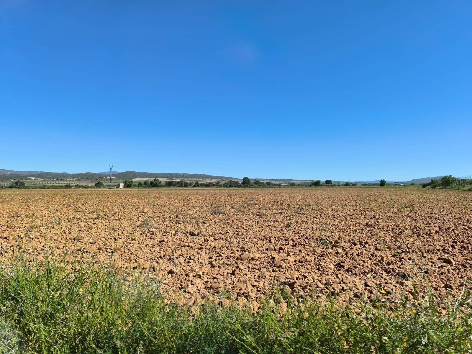 Undeveloped Land for sale in Yecla - € 29,500 (Ref: 9800034)