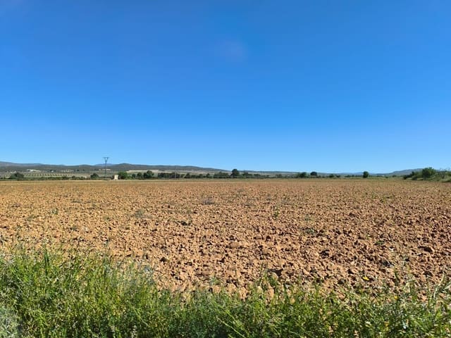 Landgrundstück zu verkaufen in Yecla - 29.500 € (Ref: 9800034)