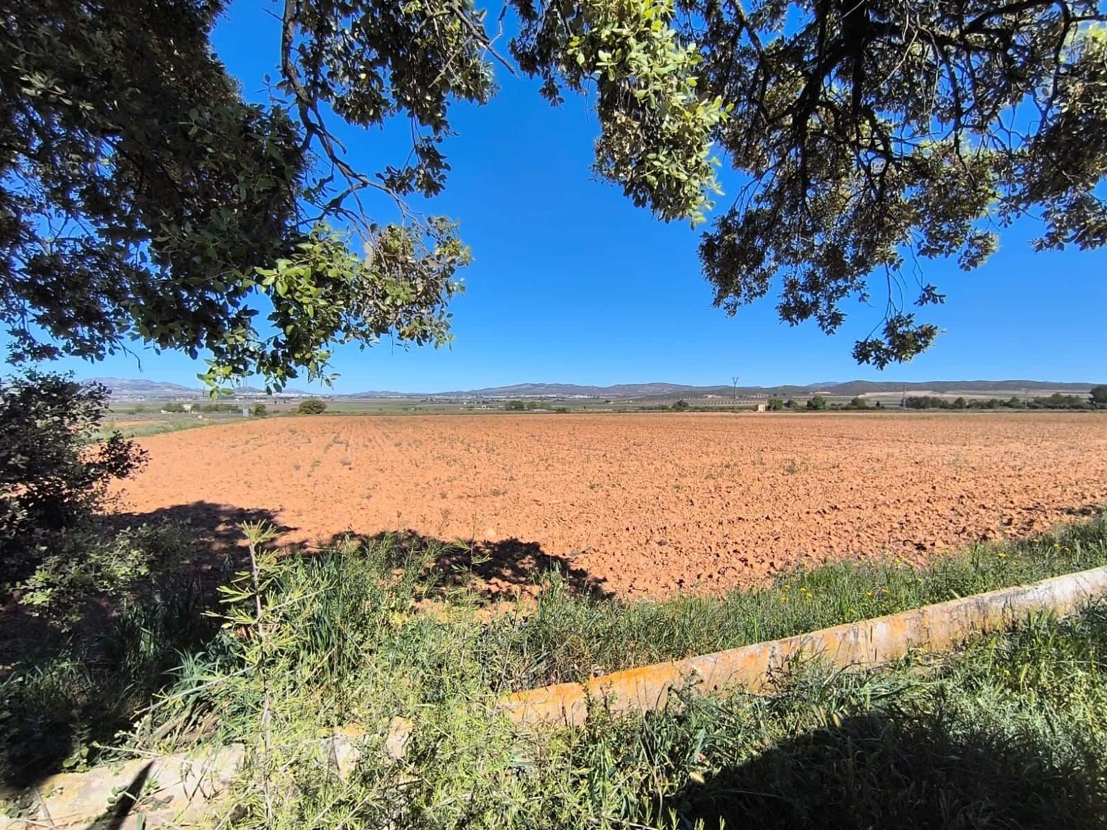 Undeveloped Land for sale in Yecla - € 29,500 (Ref: 9800034)