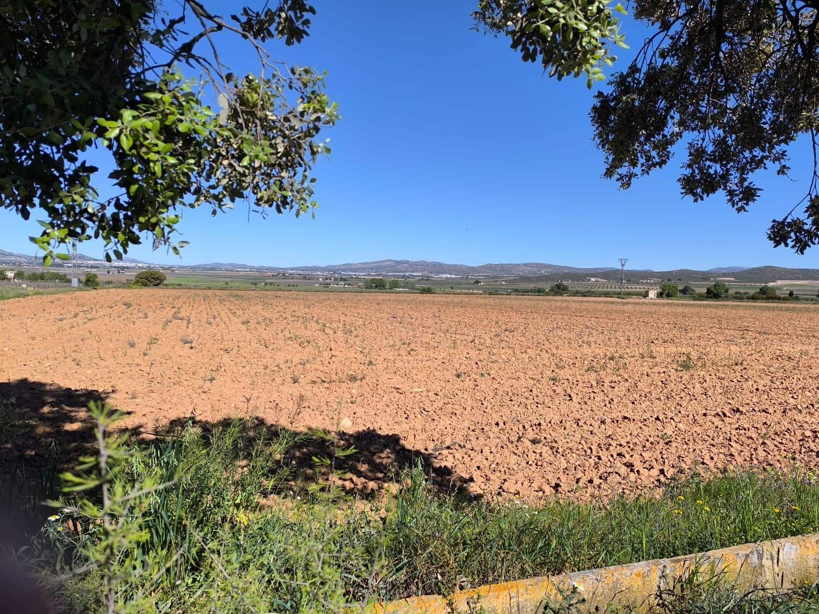 Undeveloped Land for sale in Yecla - € 29,500 (Ref: 9800034)
