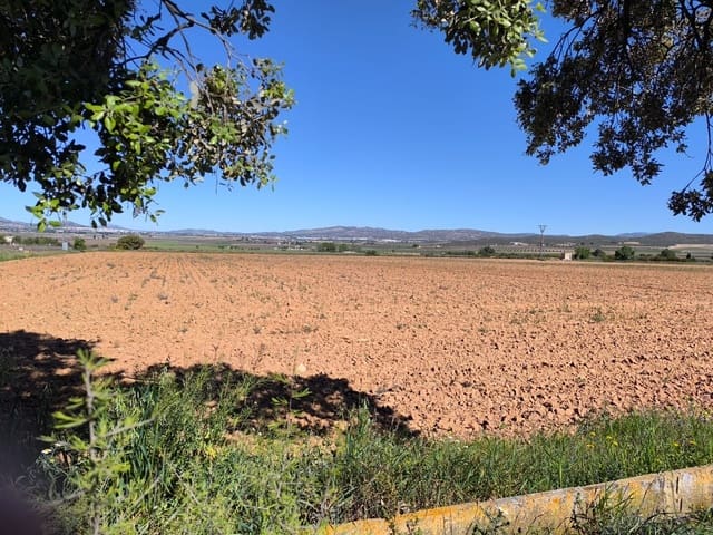 Landgrundstück zu verkaufen in Yecla - 29.500 € (Ref: 9800034)