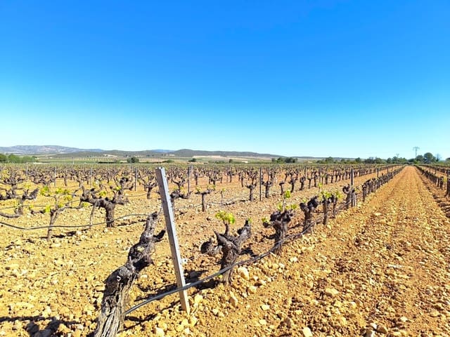 10 sovrum Finca/Hus på landet till salu i Yecla - 1 280 000 € (Ref: 9800127)