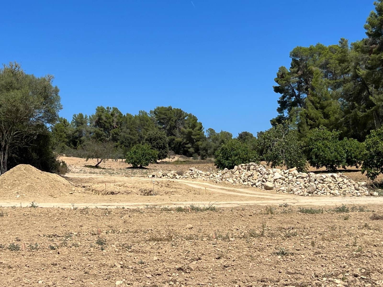Undeveloped Land for sale in Porreres - € 379,995 (Ref: 9814690)