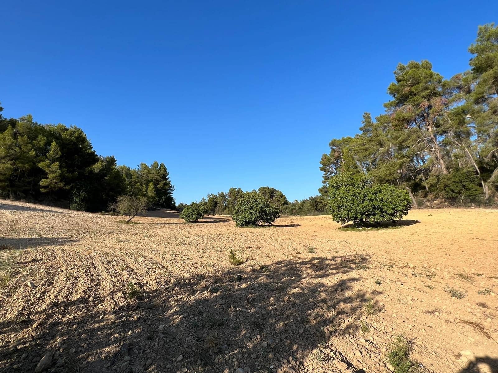 Undeveloped Land for sale in Porreres - € 379,995 (Ref: 9814690)