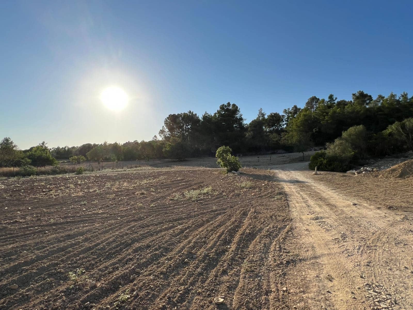 Undeveloped Land for sale in Porreres - € 379,995 (Ref: 9814690)