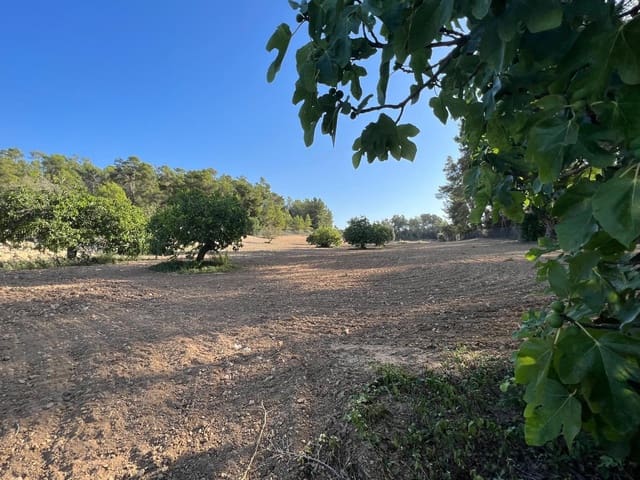 Undeveloped Land for sale in Porreres - € 379,995 (Ref: 9814690)