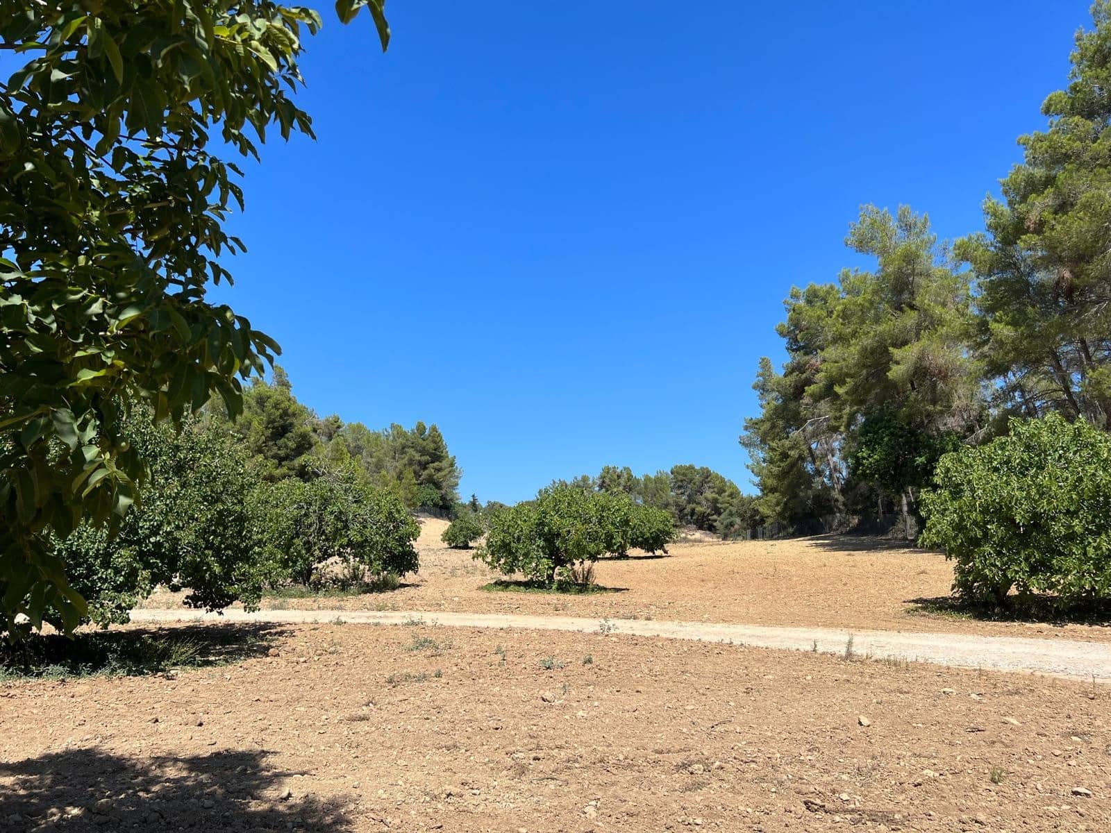 Undeveloped Land for sale in Porreres - € 379,995 (Ref: 9814690)