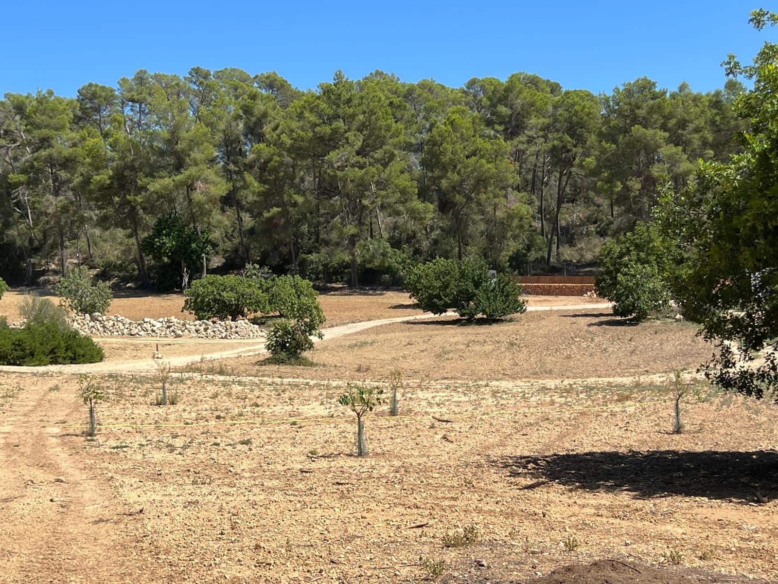 Undeveloped Land for sale in Porreres - € 379,995 (Ref: 9814690)