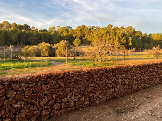 Undeveloped Land for sale in Porreres - € 379,995 (Ref: 9814690)