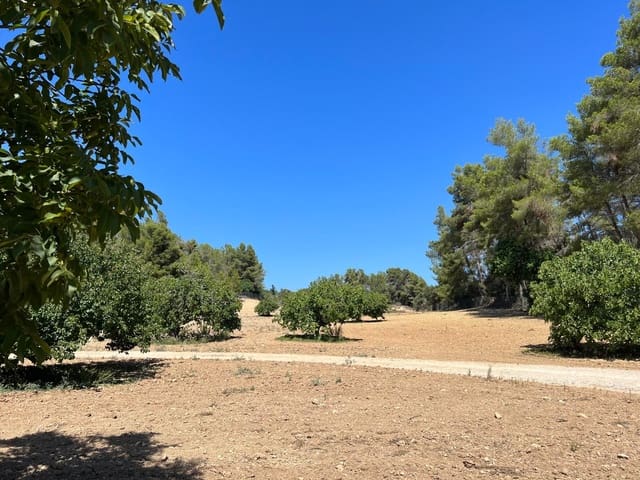Undeveloped Land for sale in Porreres - € 379,995 (Ref: 9814690)