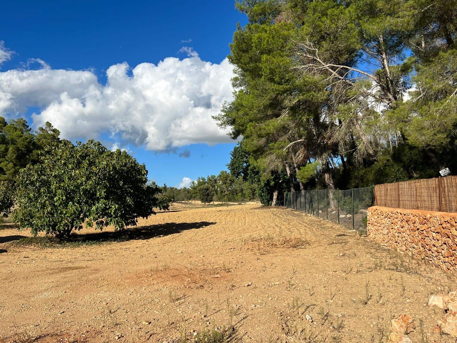 Undeveloped Land for sale in Porreres - € 379,995 (Ref: 9814690)