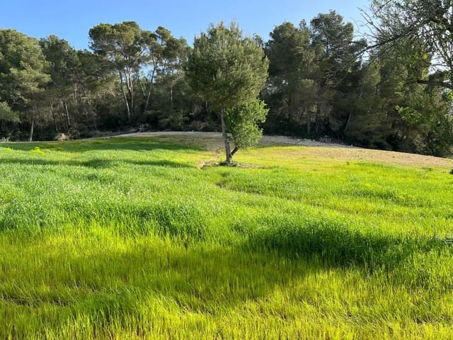 Undeveloped Land for sale in Porreres - € 379,995 (Ref: 9814690)