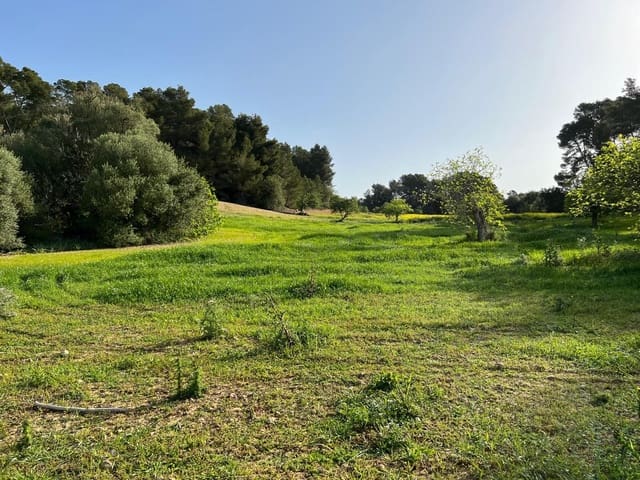 Undeveloped Land for sale in Porreres - € 379,995 (Ref: 9814690)