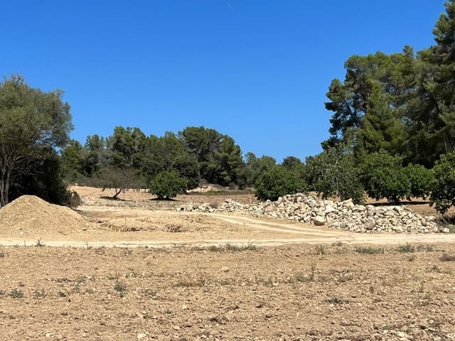 Ubebygd land til salgs i Porreres - € 379 995 (Ref: 9814690)