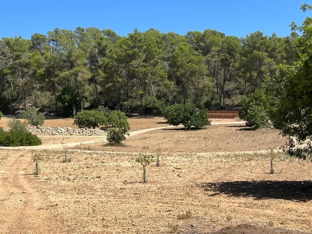 Ubebygd land til salgs i Porreres - € 379 995 (Ref: 9814690)