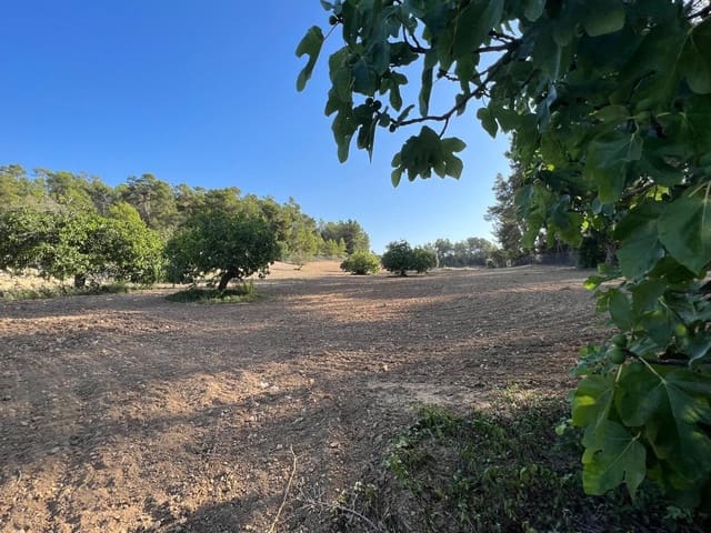 Ubebygd land til salgs i Porreres - € 379 995 (Ref: 9814690)
