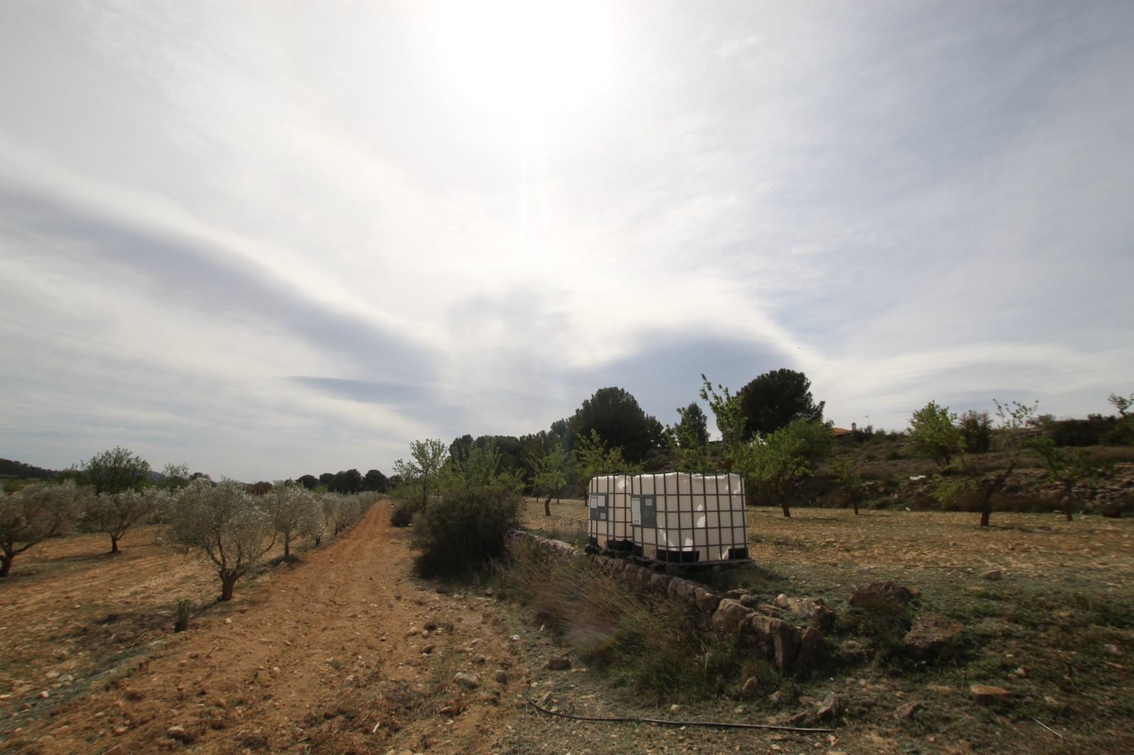 1 bedroom Finca/Country House for sale in Monovar / Monover with garage - € 349,995 (Ref: 9819548)