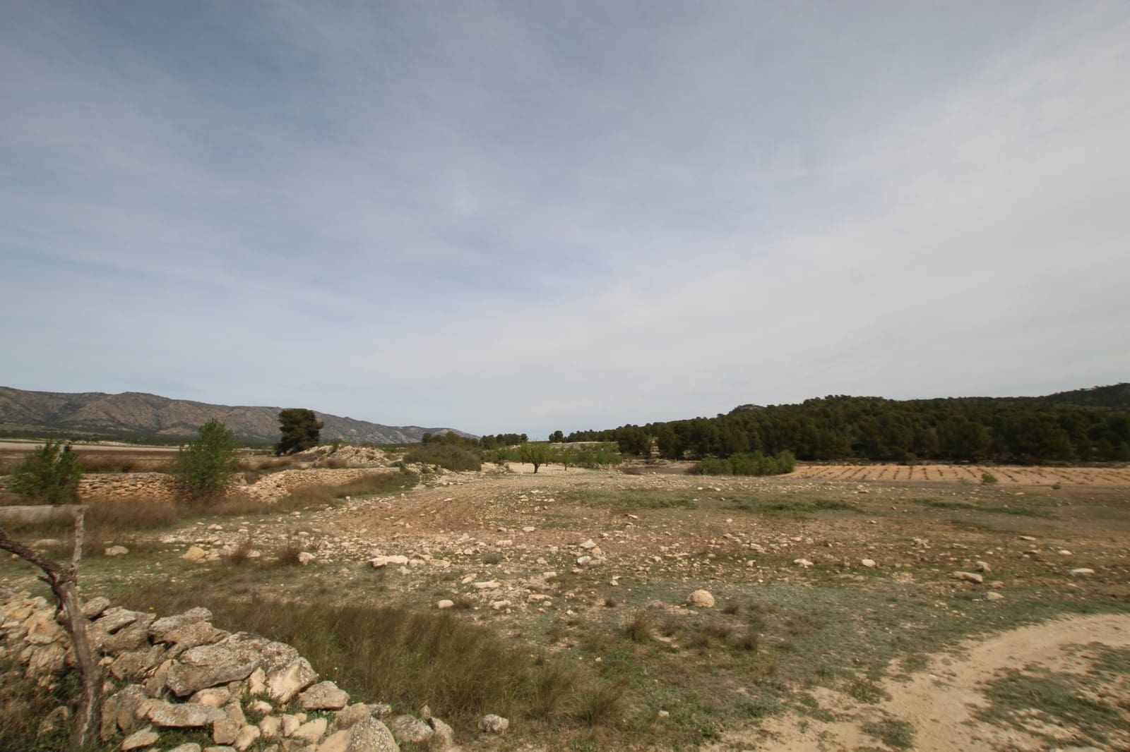 1 bedroom Finca/Country House for sale in Monovar / Monover with garage - € 349,995 (Ref: 9819548)